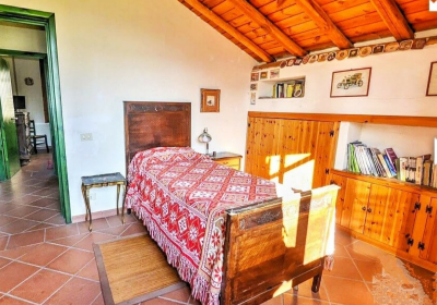 Bed And Breakfast La Casa Del Ficus